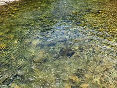 -水墨汀溪风景区