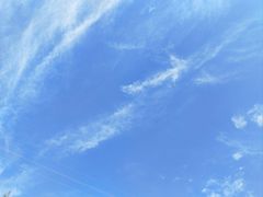 -王顺山国家森林公园