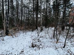 -峡谷浮石林景区