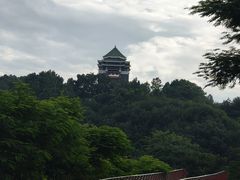 -王借岗森林公园