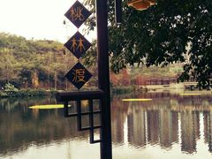 -重庆彩云湖湿地公园