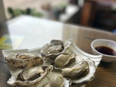 -鲁前海沿儿