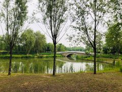 -东郊湿地公园