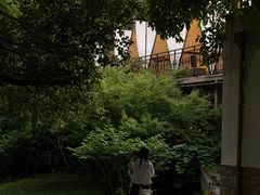 -大塘金香草谷