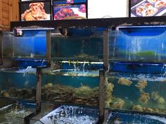 水产区-老东镇啤酒屋海鲜加工·蒸汽海鲜·海鲜烧烤(台东店)