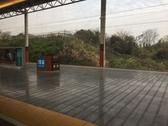 -岳阳东站