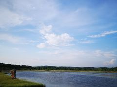 -塞罕坝国家级自然保护区