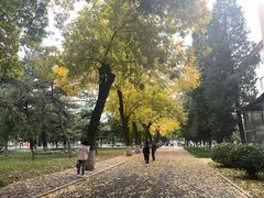 -北京邮电大学
