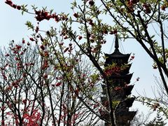 -上海方塔园