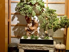 -元通寿司(东骏店)