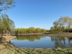-东郊湿地公园