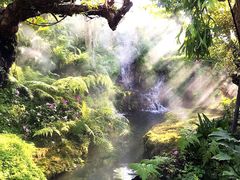 -Chom Cafe and Restaurant