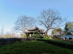 -三垟湿地