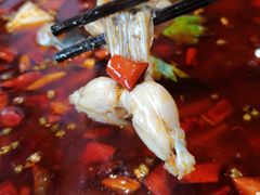 -蛙一刀·麻椒鱼火锅(金仙桥店)