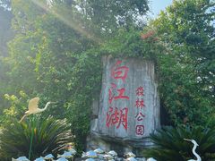 -广州白江湖森林公园