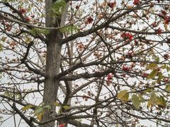 -怡海公园(桂城街道)