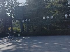 -解放阁