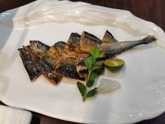 -黑松白鹿(金融街店)
