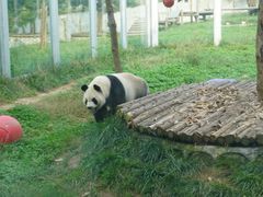 -西安秦岭野生动物园