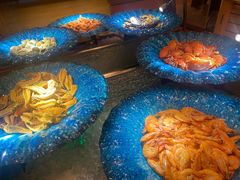 -视界美食自助餐厅·石家庄希尔顿酒店