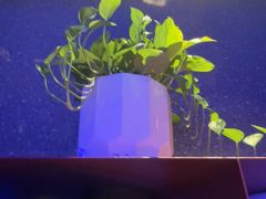 -漫·汤泉