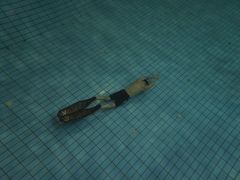 -重庆市奥林匹克体育中心-游泳跳水馆