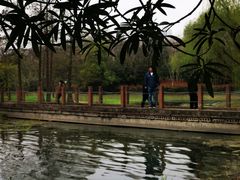 -高子水居
