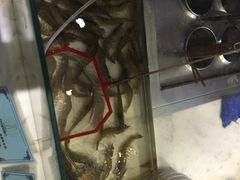 339旋转餐厅-339旋转餐厅(天府熊猫塔店)