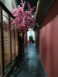 -盘子女人坊生日照·摄影馆(华强店)