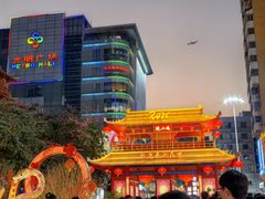 -越秀西湖花市(广州城市广场花卉店)