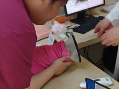 -艾贝尔宠物医院 ·内科全科(梁溪路店)