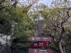 -秋霞圃