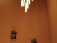 -泰古龙抓龙筋·spa按摩(静安店)