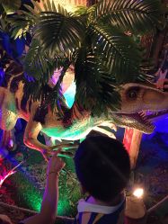 点击看大图 -恐龙探索乐园(磁器口店)