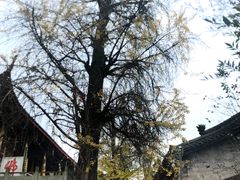 -金堂县云顶石城风景区