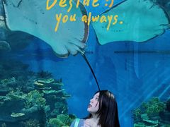 -福州罗源湾海洋世界旅游区