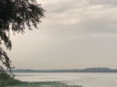 -丁香湖公园