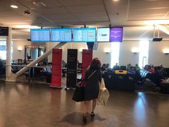 -蒙特利尔皮埃尔·埃利奥特·特鲁多国际机场