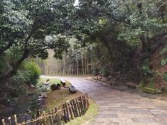 -常德桃花源景区