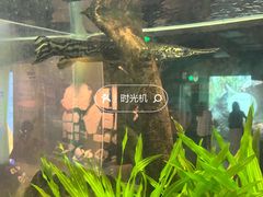 -正佳自然科学博物馆