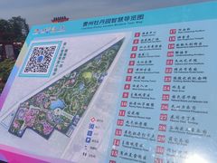 -曹州牡丹园