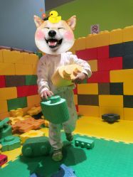 -宝燕乐园(闵行旗舰店)