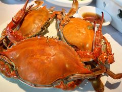-开海·红岛海鲜虾水饺(石老人店)