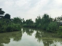 -鹅湖玫瑰文化园