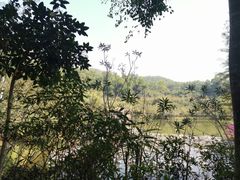 -大屏嶂森林公园