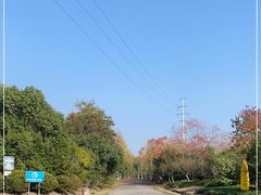 -上海海湾国家森林公园