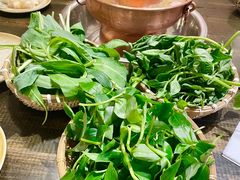 -攀枝花野菜铜火锅(万科凯德店)