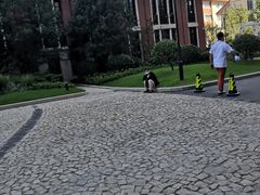 -上海交通大学医学院附属瑞金医院(总院)