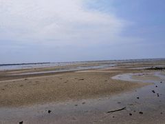 -北海金海湾红树林生态旅游区