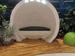 -春润大地海南椰子鸡(沙井京基百纳广场店)